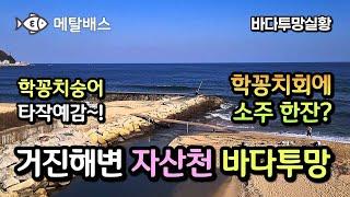 형광등 학꽁치투망과 겨울 대숭어투망 대박조과 기대합니다. 고성 거진해변 자산천 동해바다투망, 고성 방가방가 바다투망달인 속보 #castnet #fishing #playpesca