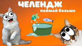 ЧЕЛЕНДЖИ для КОТОВ! КОТЫ стали РЫБАКАМИ на 24 часа! КТО ВЫИГРАЛ ? приколы с котами