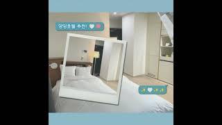 #shorts 양양서핑 추천호텔