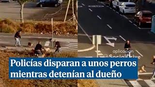 Policías disparan a tres perros que les atacaban mientras su dueño era detenido