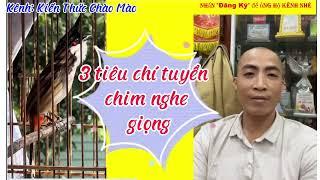 Thời điểm cho chim ăn Trái cây vào Lửa và Tiêu chí chọn chào mào Giọng hót hay