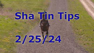 Hong Kong Horse Racing Tips 2/25/2024 - Sha Tin