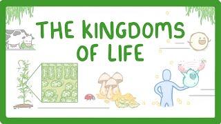 Kingdoms of Life - Animals, Plants, Fungi, Protoctists, Bacteria and Viruses