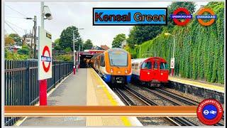 Trains at Kensal Green Station! - LU/WDC (10/09/2024)