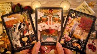 LOVE TAROT READING- THIS IS A MAJOR LOVE OFFER!!! DON'T MISS!!! 