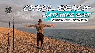 Chesil Beach: Catching Bait | Fishing For Monsters 