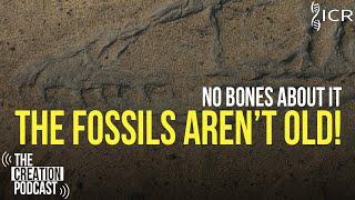 Can Fossils Last Millions of Years? | The Creation Podcast: Episode 16