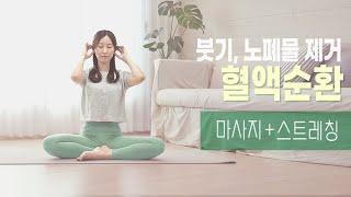 혈액순환에 좋은 스트레칭 | 노폐물 배출, 독소 제거, 붓기 빼는 운동