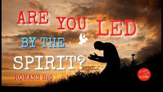 Walking With God Daily 1, Dont Leave Earth Without Jesus, Walking with God Bible Study,