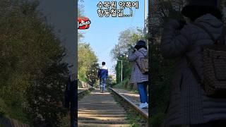 푸른수목원 & 항동철길 (A green Arboretum & Haengdong Railway Road) in Korea