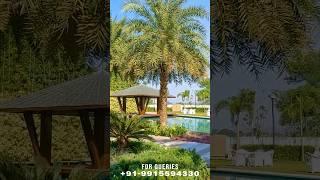 Omaxe New Chandigarh Flats | ️ 9915594330 #shorts #ytshorts #trandingshorts
