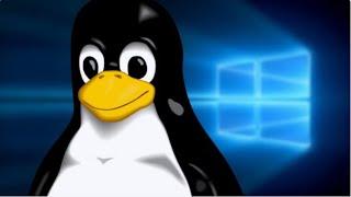 Установка Windows рядом с Linux.