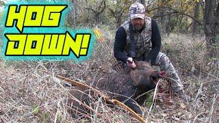 Hog with a Longbow! Using G5 Montec M3 Broadheads!