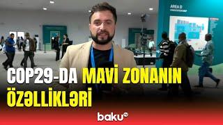 COP29-da medianın işi necə təşkil olunur? | Məlumatlar belə çatdırılır