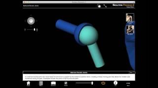 Ball and Socket Joint with Skeleton Premium