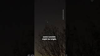 Look Up! Leonid Meteor Shower & Fireballs Explained