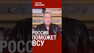 Положительная оценка россии #невзоров