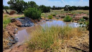 From High Desert to Oasis | How to make your land hold water