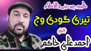 Teri Godi Vich Nabia - Ahmad Ali Hakim New Naat 2024