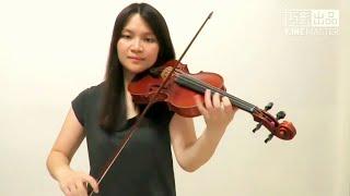 Sia - Unstoppable(Violin Cover)