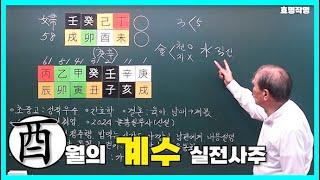 [중급] 274강 유(酉)월의 계수 실전사주