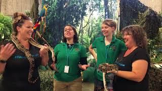 #2MandisOnAMission & Brad's World Reptiles