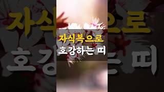 자식복 많은 여자는 나이 들수록 #자식복#말년운세#띠별운세