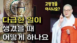 한마음으로 기도하세요 | 광우스님의 생활속 기도법12회
