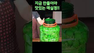 매실청 만들어서 맛있게 드셔보세요!! 진짜 맛있는 조합법!