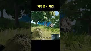 피구공은 뭐다??   #Shorts #바실리