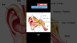 健康小知识：良性阵发性位置性眩晕（BPPV）