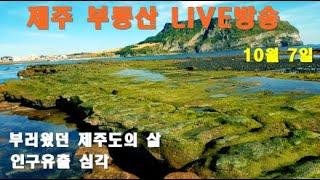 [제주 부동산 실시간방송 10/7] 제주도 인구유출 심각. 집값 비싸서.....