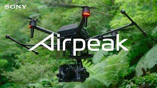 Airpeak | Field Testing at Iriomote Island, Okinawa