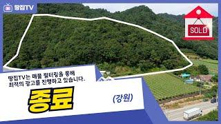 [종료] 반자연으로 살기 딱 좋은 풀하우스. 삼시세끼 산삼 먹고 황토집과 숲속길에서 심신치유