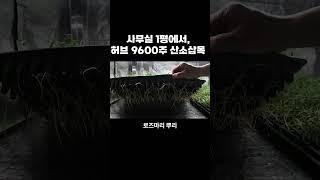 1평 지식산업센터에서 허브 9600주 찍어내는법