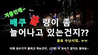 배민 쿠팡 콜량이 좀 늘어나는건지~ 겨울 성수기가 오고 있는 느낌이 드네요 (#부업배달#안성배달#배달라이브)