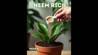 I Used NEEM RICH and Here's What Happened to My Plants