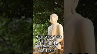 50대 필독! 부처님 말씀: 지금 당신의 고통, 숨겨진 성장의 기회! #인생후반전 #마음의힘 #지혜의말씀 #극복