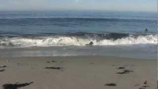 Relaxing 3 Hour Video of California Ocean Waves