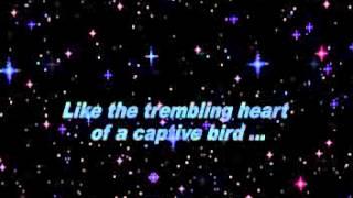 First time ever i saw your face- George Michael (lyrics)