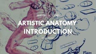 Get Started with Artistic Anatomy