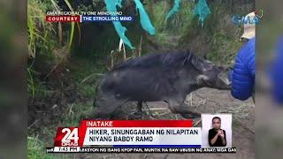 Hiker, sinunggaban ng nilapitan niyang baboy ramo | 24 Oras