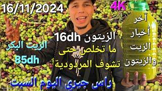 زيت الزيتون البكر الممتاز اليوم السبت 16/11/2024