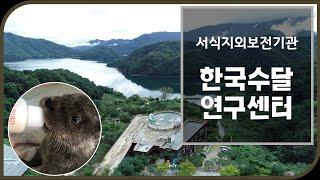 [국립생태원] 서식지외보전기관_멸종위기의 수달을 위해 존재하는 곳! 한국수달연구센터