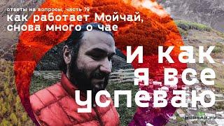 Ответы на вопросы, часть 19.  Как работает Мойчай.ру, много о чае, и как я все успеваю