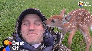 Baby Animals Are So Grateful These Guys Saved Their Lives | The Dodo Best Of