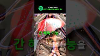 의사들도 꼭 먹는 망가진 간을 빠르게 해독하는 음식 #건강 #간건강 #간해독 #간경화 #간암 #지방간 #해독 #해독음식 #독소배출
