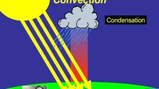Convection in Florida