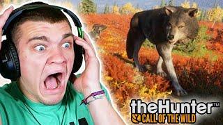 the wolves tried to kill me again... Hunter Call of the Wild Ep.71