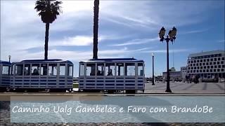 Morando no Algarve: Conheça o percurso entre Faro e a UAlg | BrandoBe Oficial